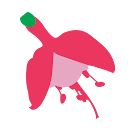 mundy gardening services profile picture